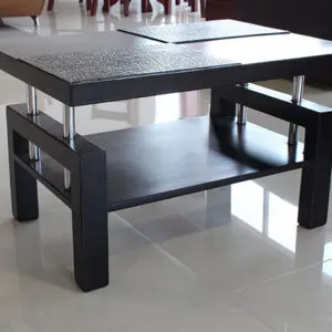 Mesa central caballito
